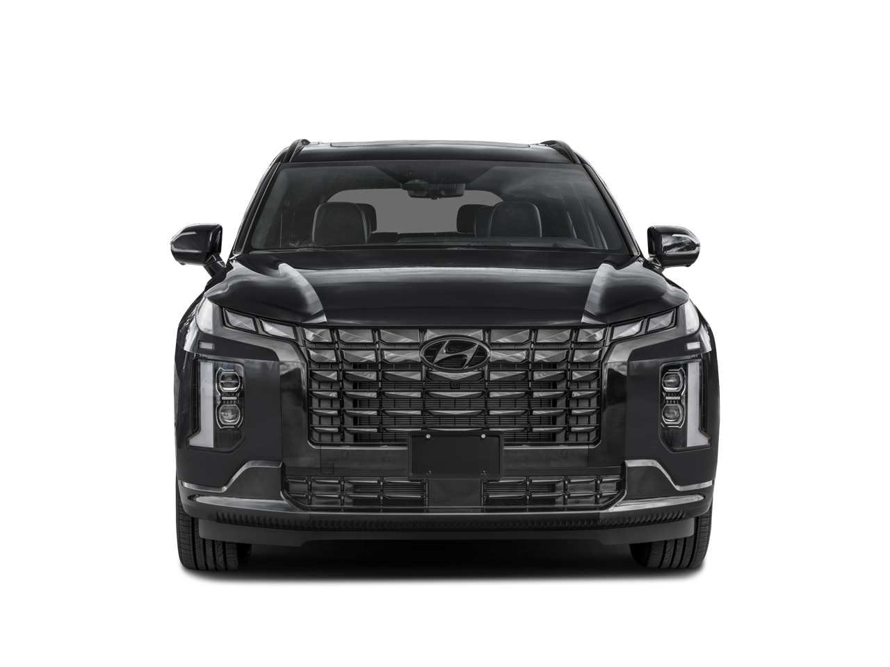 2025 Hyundai Palisade Calligraphy Night Edition - Photo 39